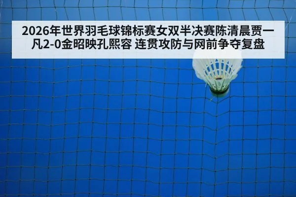 badminton net play